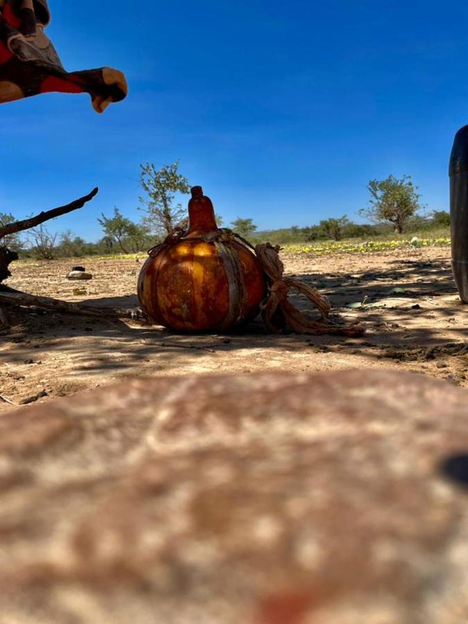 Kaoko Mopane Lodge & Campsite Opuwo Dış mekan fotoğraf