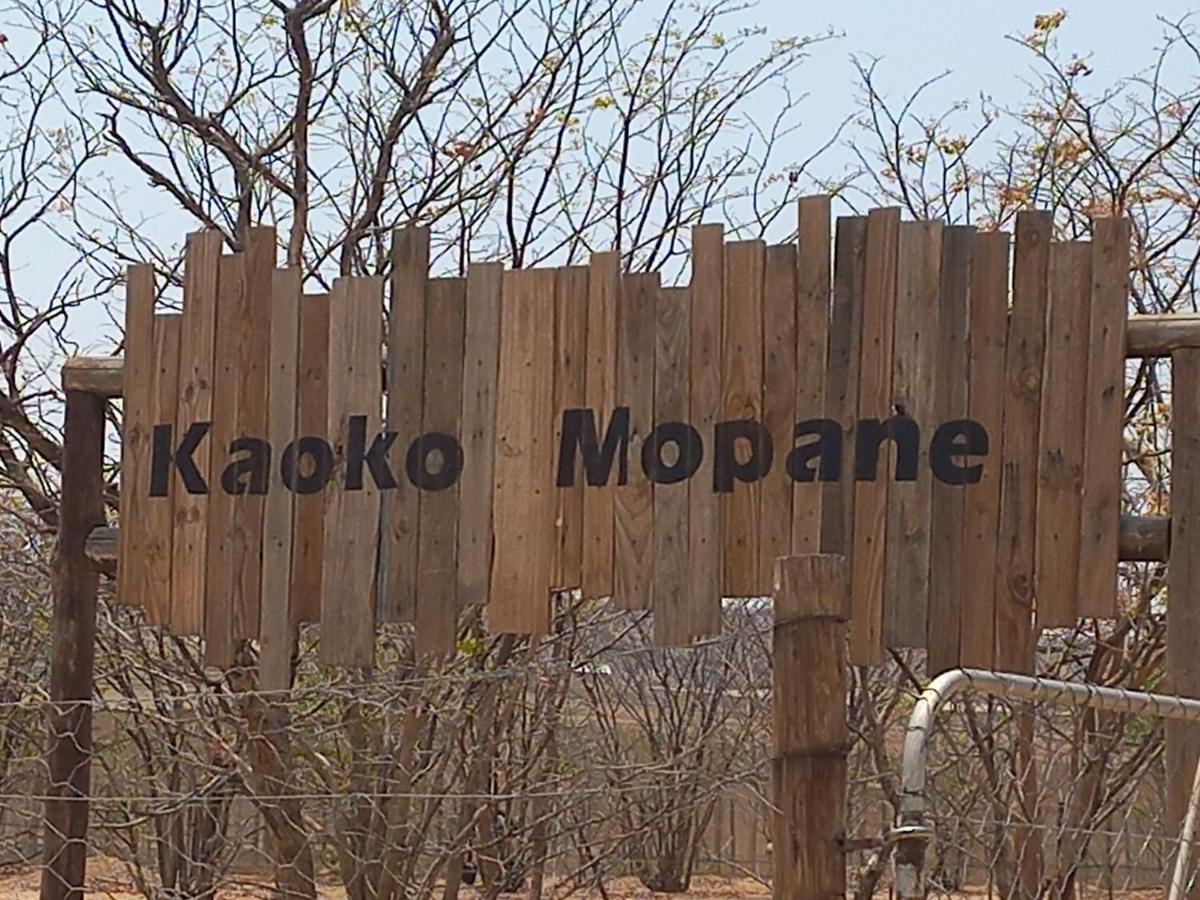 Kaoko Mopane Lodge & Campsite Opuwo Dış mekan fotoğraf